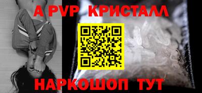 крисы Славгород