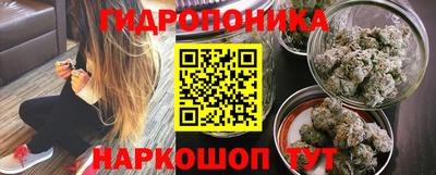 крисы Славгород