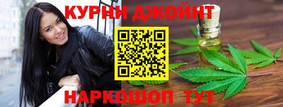 крисы Славгород
