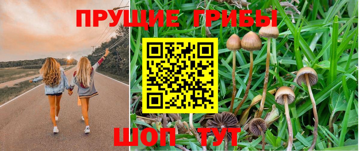 Галлюциногенные грибы Cubensis  Вход с VPN  Нефтекумск 